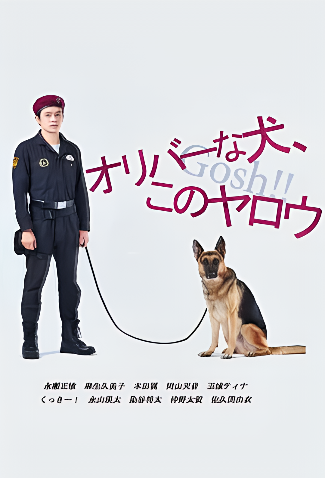 奥莉佛是狗，（天哪！！）这家伙