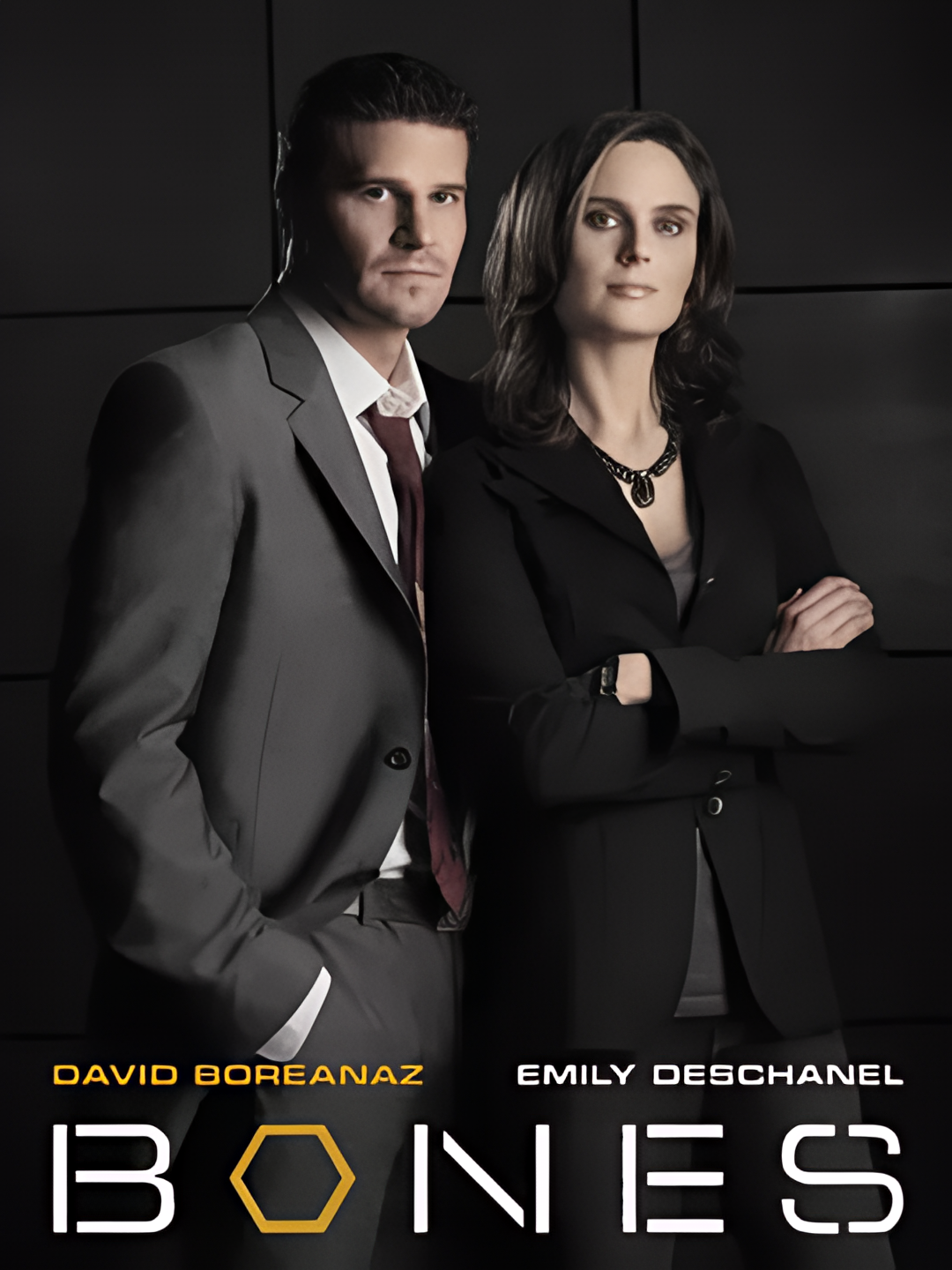 识骨寻踪 第一季