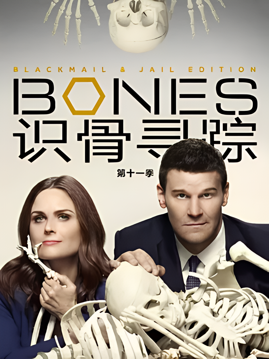 识骨寻踪 第十一季