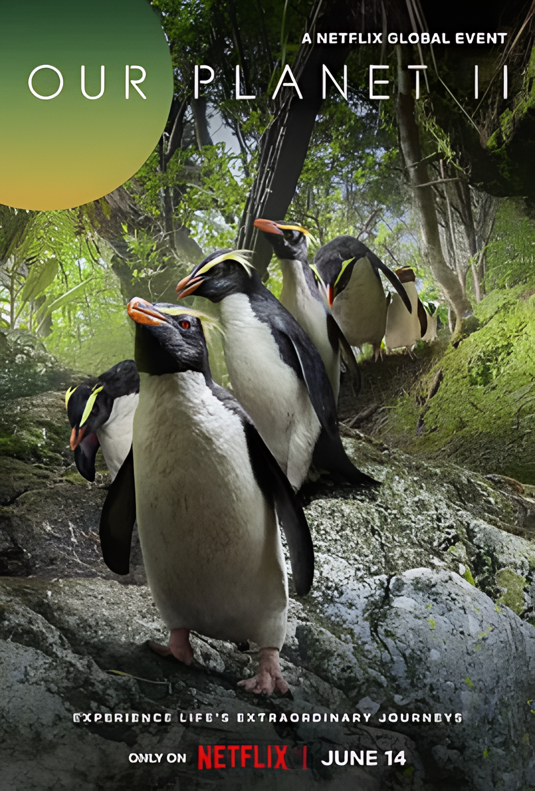 我们的星球 第二季