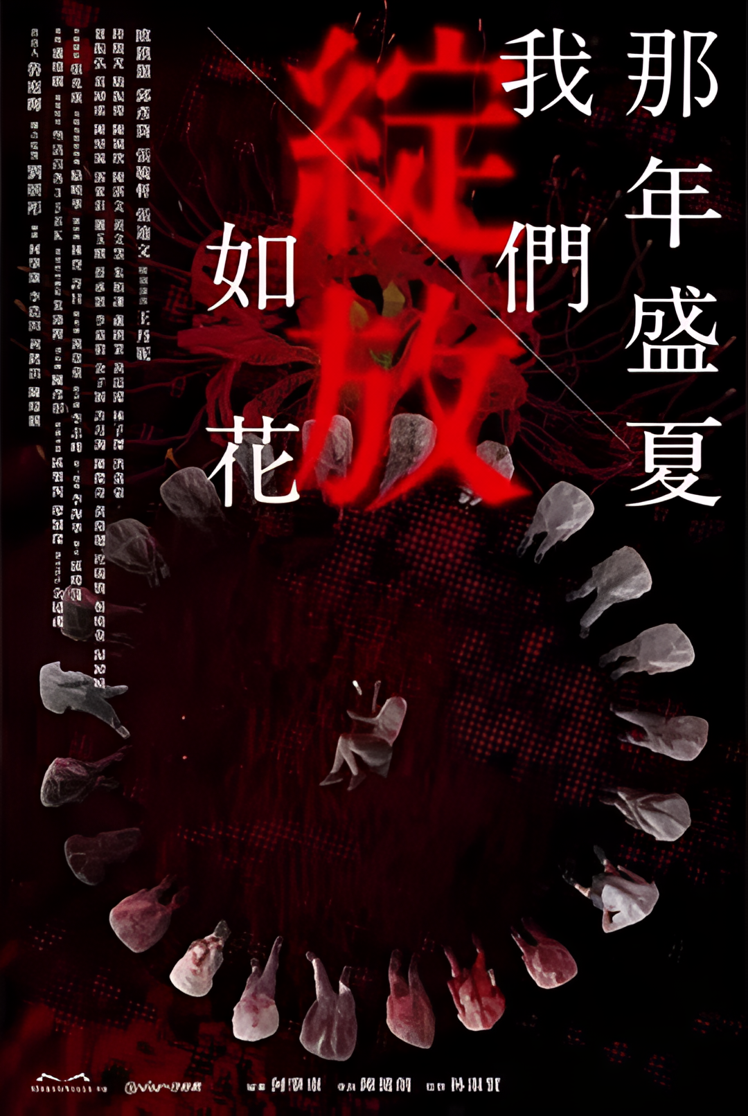 那年盛夏 我们绽放如花