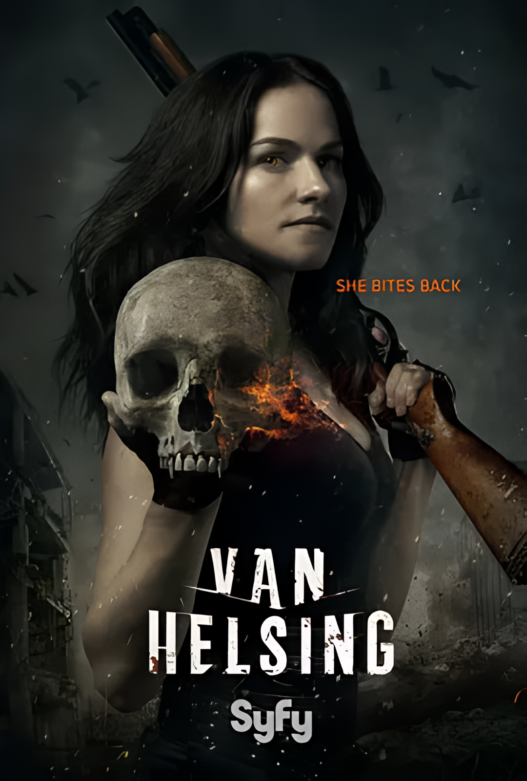 凡妮莎海辛 第一季