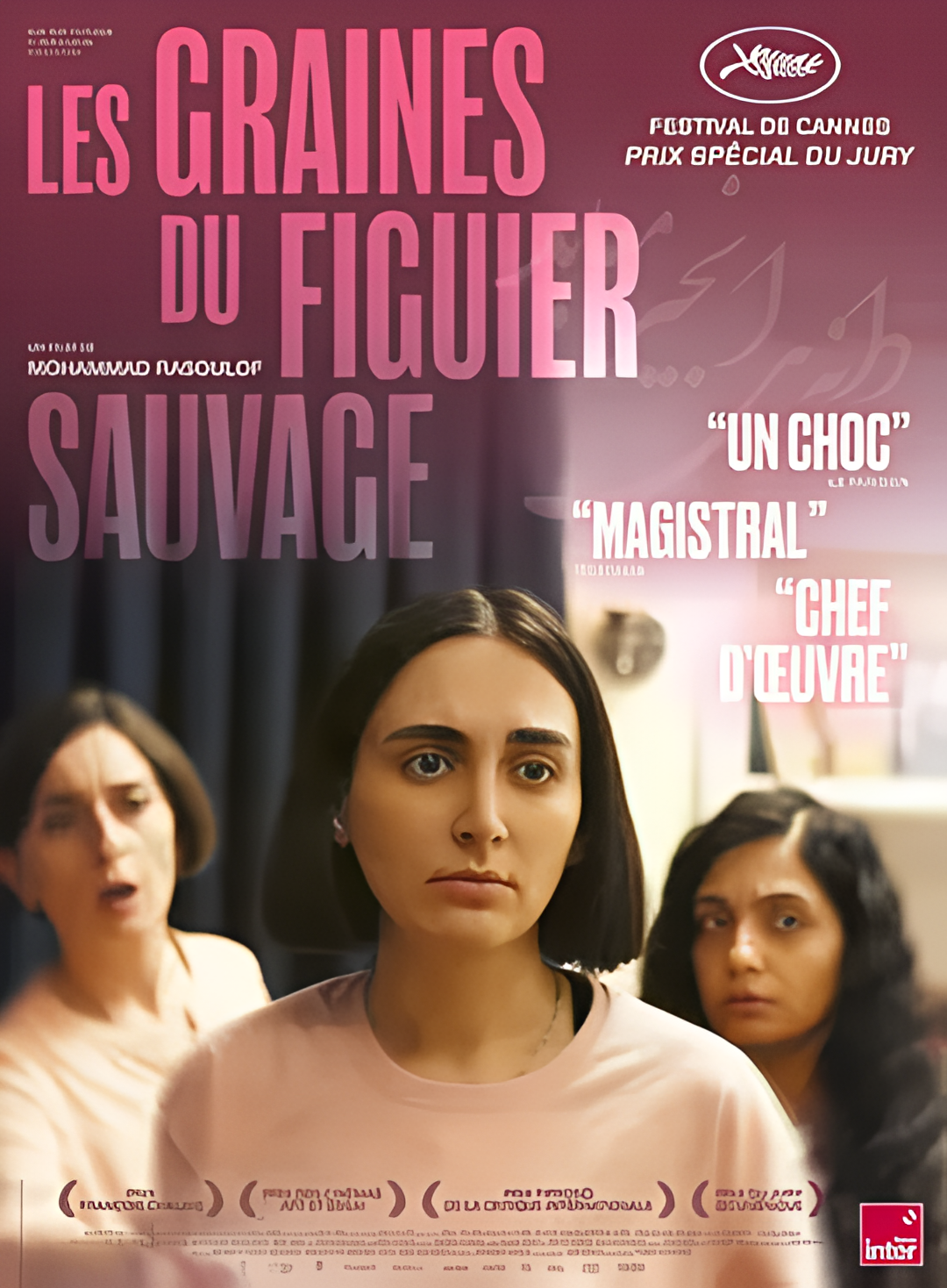 神圣无花果之种