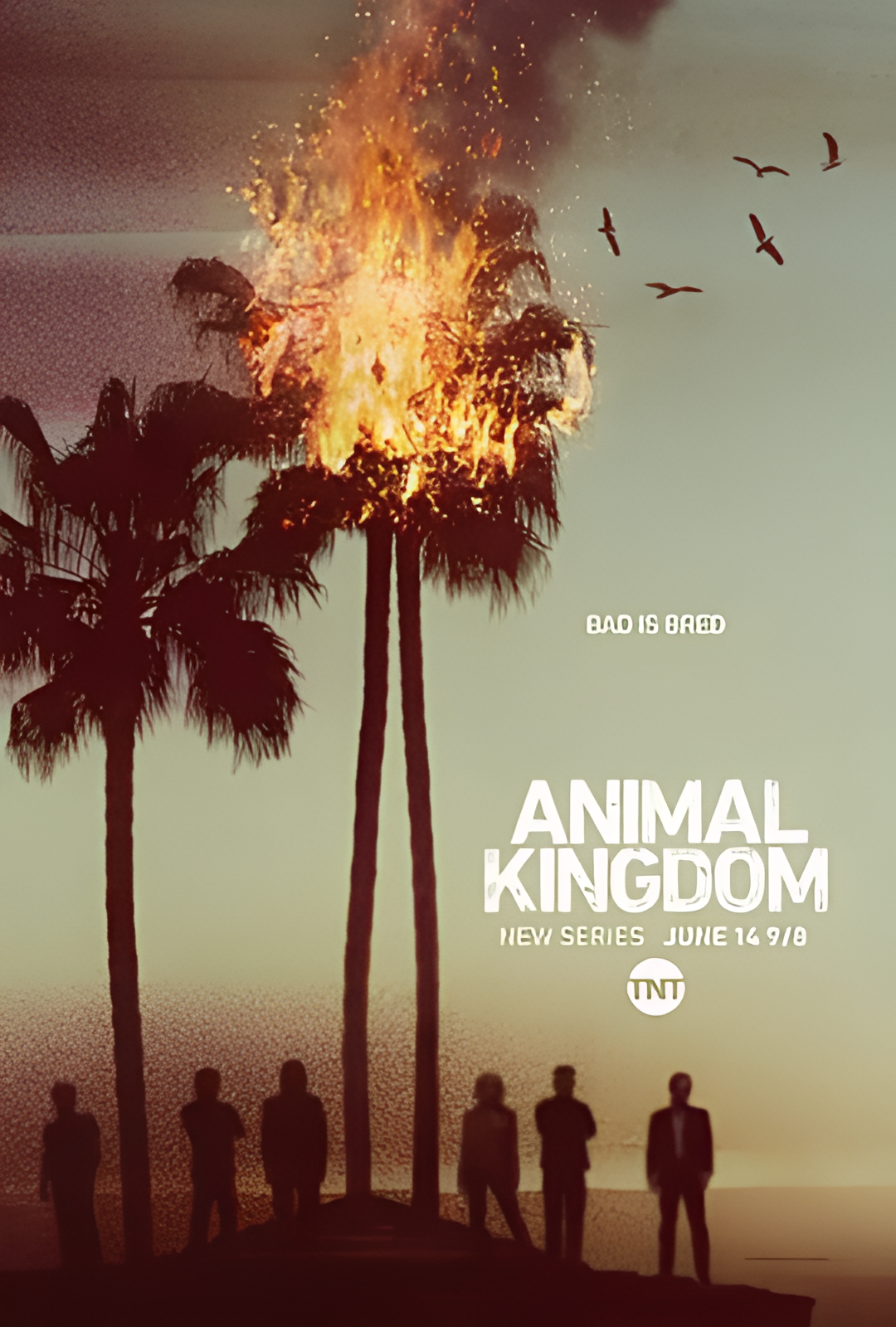 野兽家族 第一季