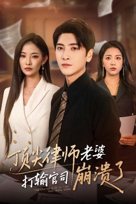 顶尖律师老婆打输官司崩溃了 爱至深处不回头