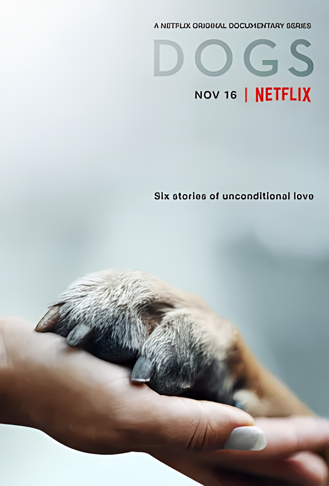 爱犬情深 第一季