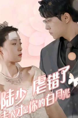 陆少虐错了，夫人才是你的白月光