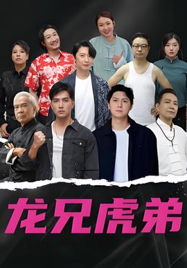 龙兄虎弟 国语版